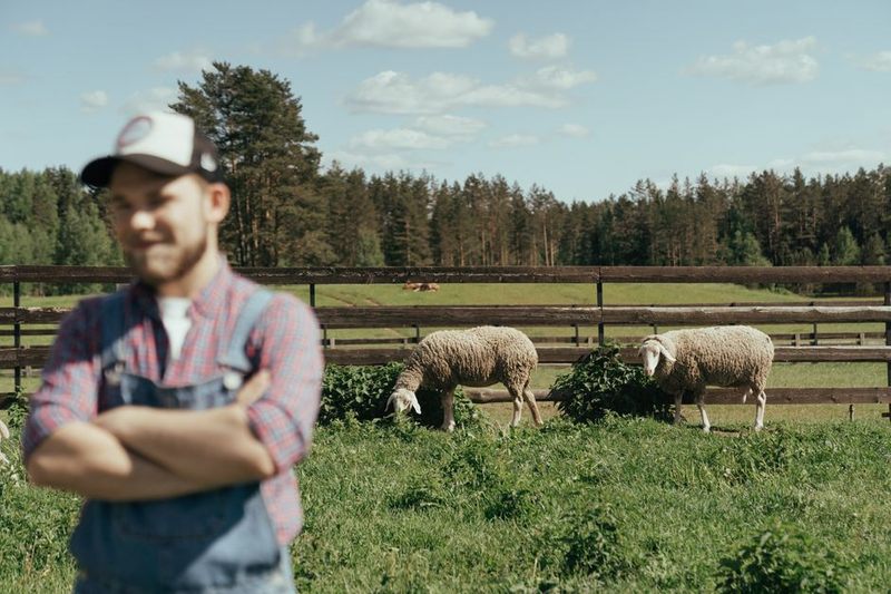 Why Fields of Mistria Feels Handmade